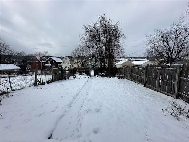 view of yard covered in snow