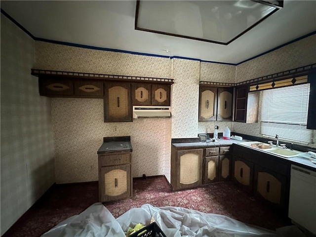 kitchen featuring dark brown cabinets, white dishwasher, crown molding, sink, and dark colored carpet