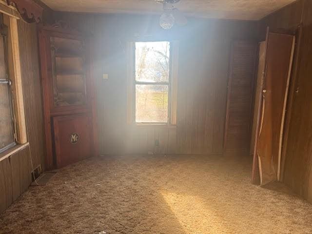 spare room featuring ceiling fan, wood walls, and carpet floors