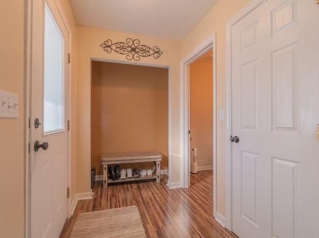 entryway with hardwood / wood-style floors