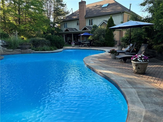 view of swimming pool featuring a patio