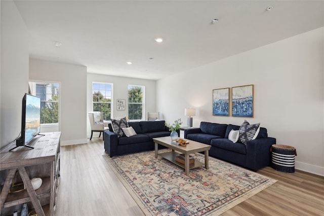 living room featuring light wood-type flooring