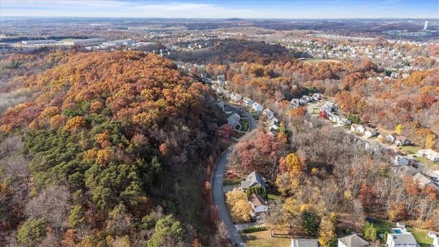 drone / aerial view