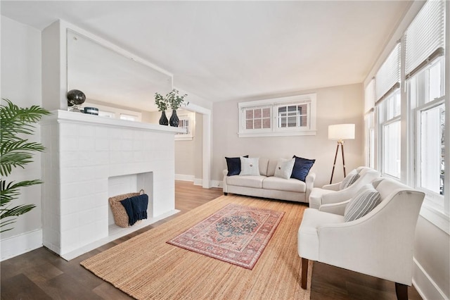 living room featuring wood-type flooring and a fireplace