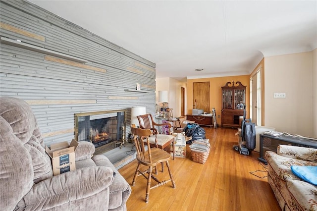 living room featuring a fireplace and wood-type flooring