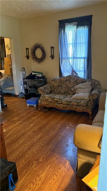 living room with a textured ceiling and hardwood / wood-style flooring