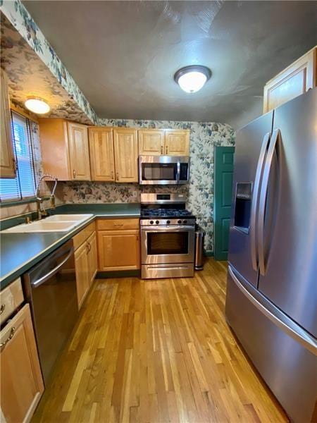 kitchen featuring sink, stainless steel appliances, and light hardwood / wood-style flooring