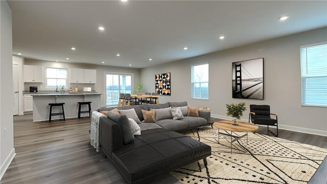 living room with hardwood / wood-style floors