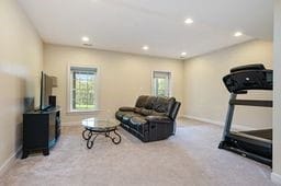 exercise area with plenty of natural light and light carpet