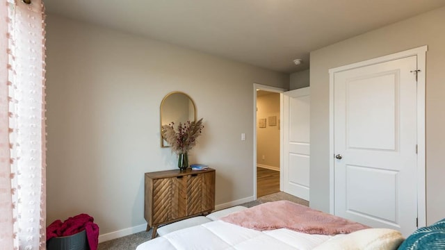 bedroom featuring carpet flooring