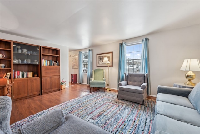 living room featuring hardwood / wood-style floors