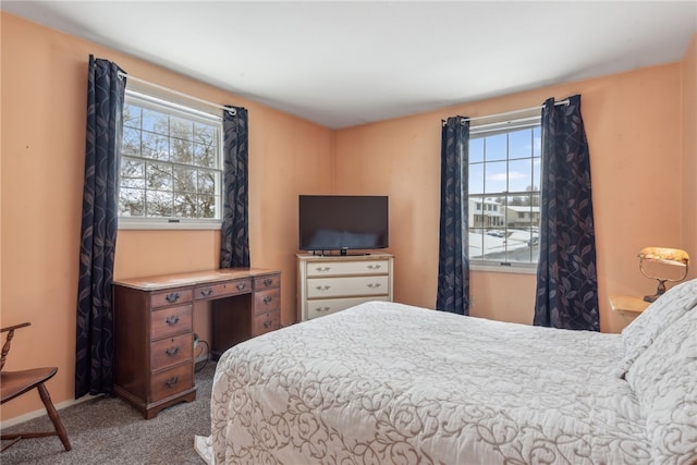 carpeted bedroom with multiple windows