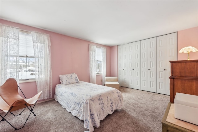 bedroom featuring carpet floors, a closet, and multiple windows