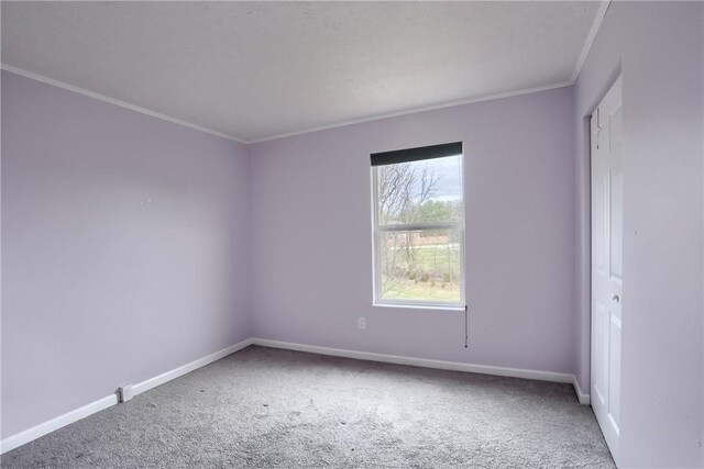 carpeted empty room with crown molding