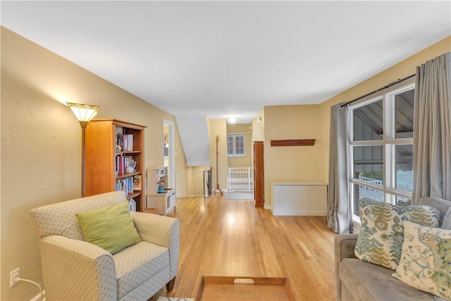 living room featuring light hardwood / wood-style flooring