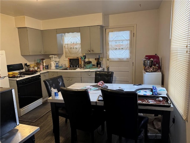 kitchen featuring dark hardwood / wood-style flooring, white appliances, a healthy amount of sunlight, and sink