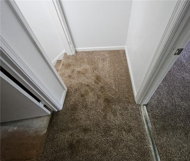 interior details with carpet flooring