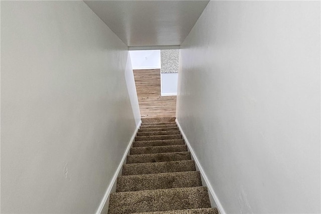 stairs featuring carpet