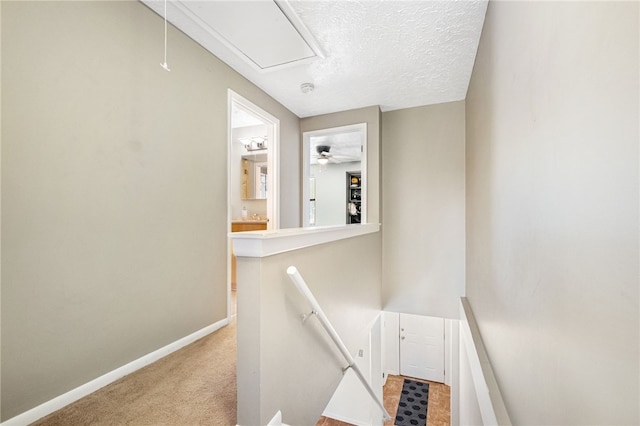 stairway featuring carpet and a textured ceiling