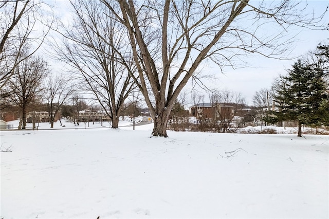 view of yard covered in snow