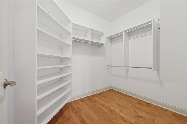 walk in closet featuring hardwood / wood-style floors