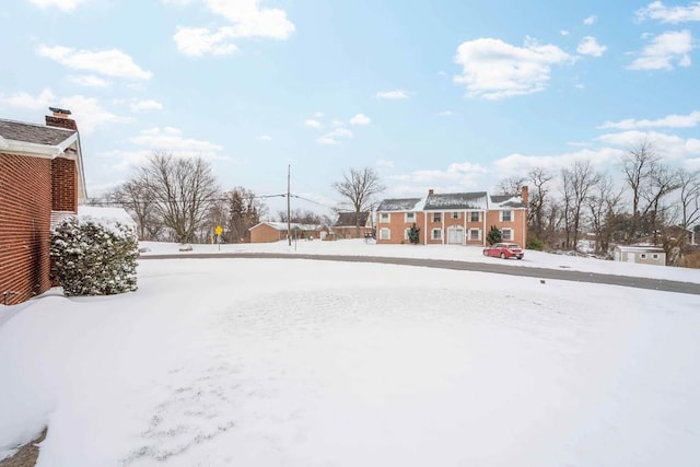 view of yard covered in snow