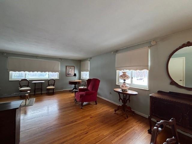 sitting room with hardwood / wood-style flooring