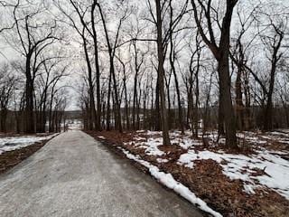 view of road