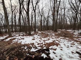 view of snowy landscape