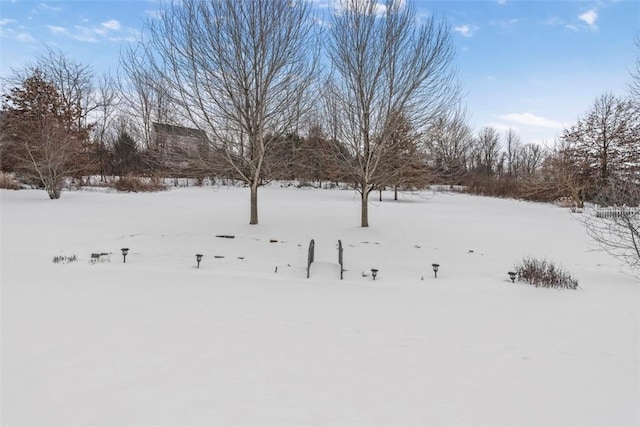 view of yard covered in snow