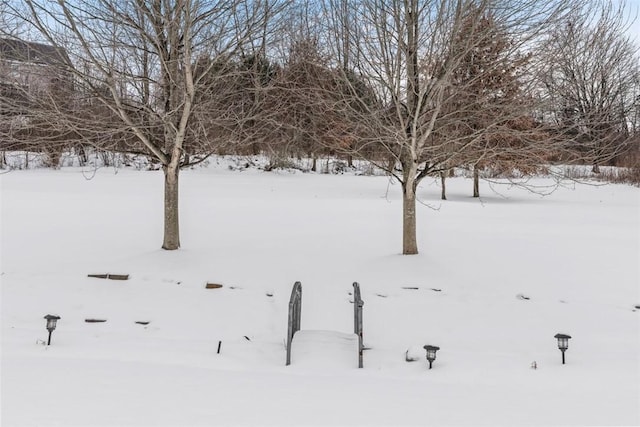 view of snowy yard