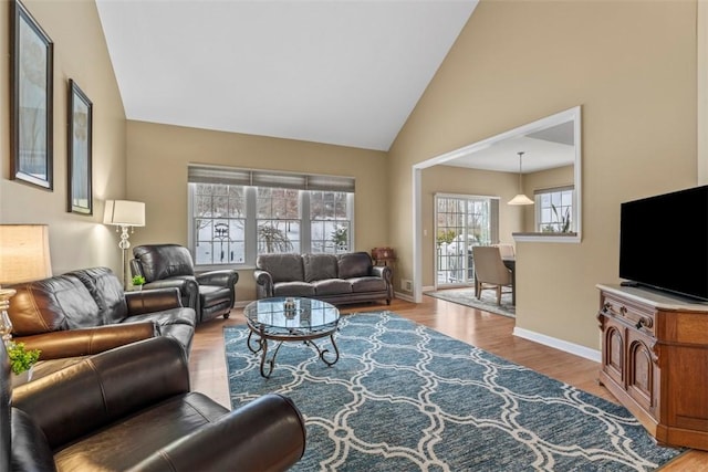 living room with lofted ceiling and wood-type flooring