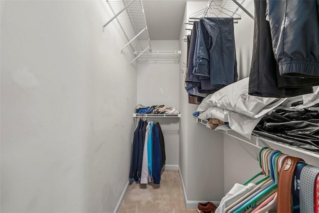 spacious closet with light colored carpet