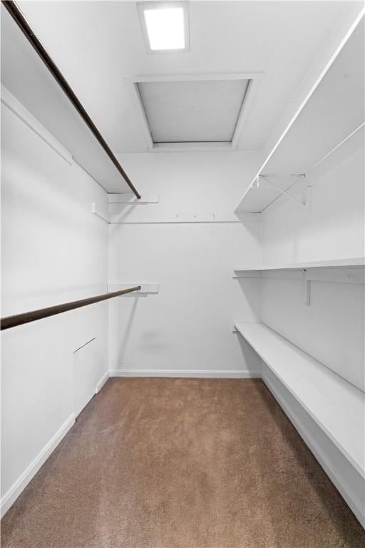 walk in closet with carpet