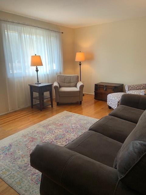 living room with light wood-type flooring