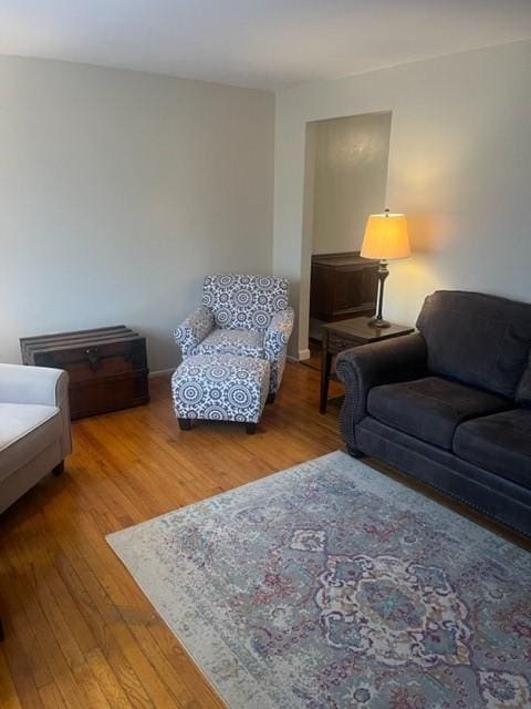 living room with wood-type flooring