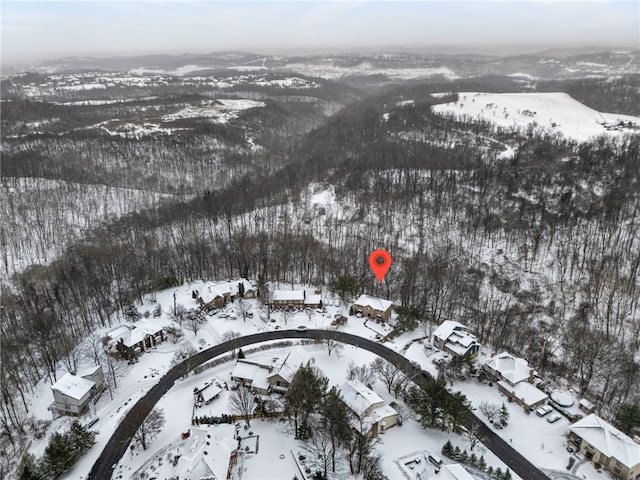 view of snowy aerial view