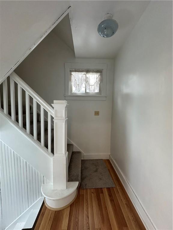 stairway with hardwood / wood-style flooring