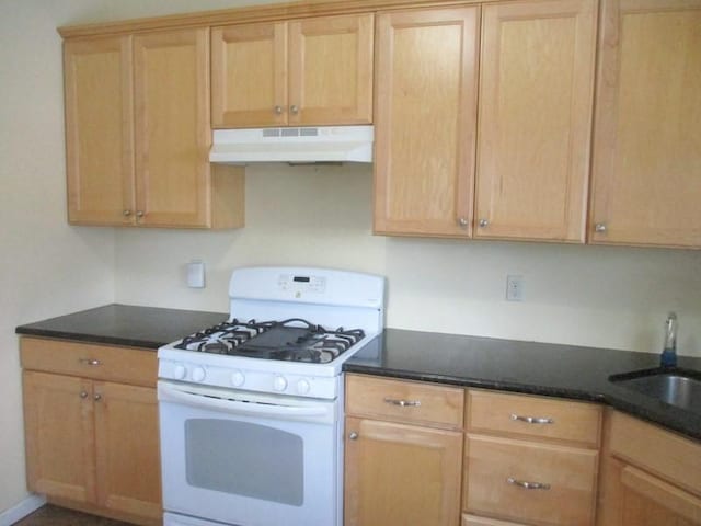 kitchen featuring sink and white gas range oven