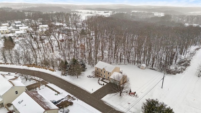 view of snowy aerial view