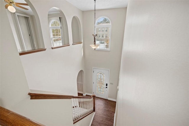 foyer entrance featuring ceiling fan, a healthy amount of sunlight, and dark wood-type flooring