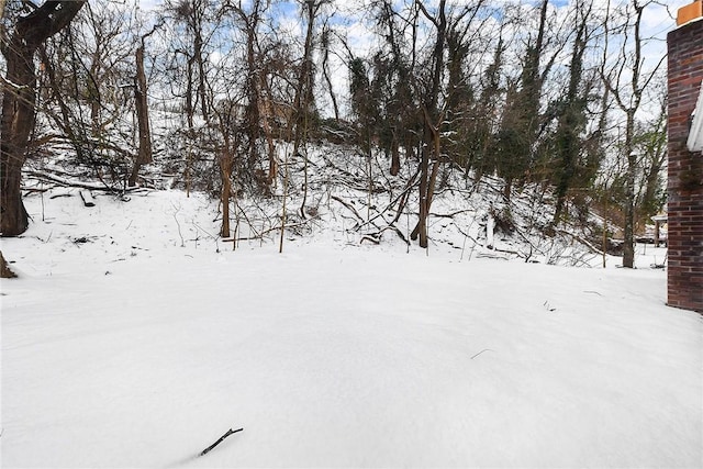 view of yard covered in snow