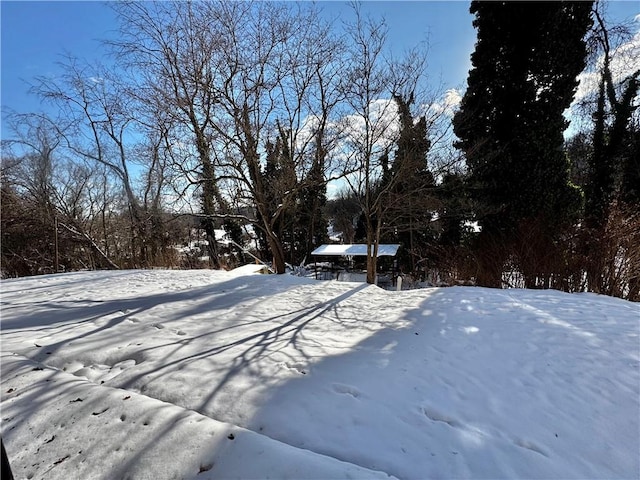 view of snowy yard