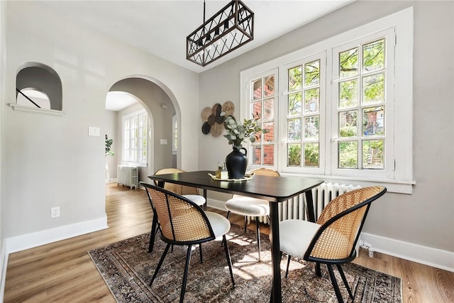 dining room featuring hardwood / wood-style flooring and radiator heating unit