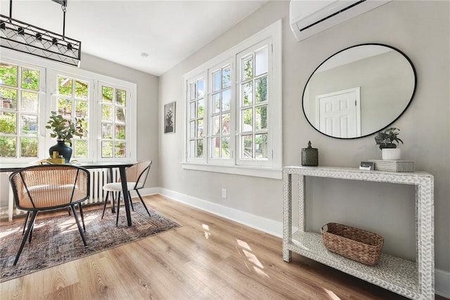 interior space with a wall unit AC