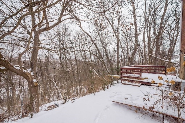 view of snowy yard