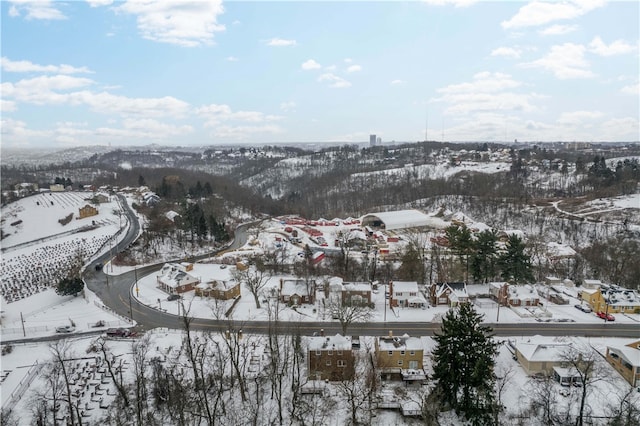 view of snowy aerial view