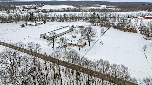 view of snowy aerial view