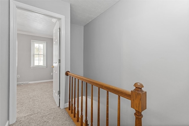 hall with light colored carpet, a textured ceiling, and ornamental molding