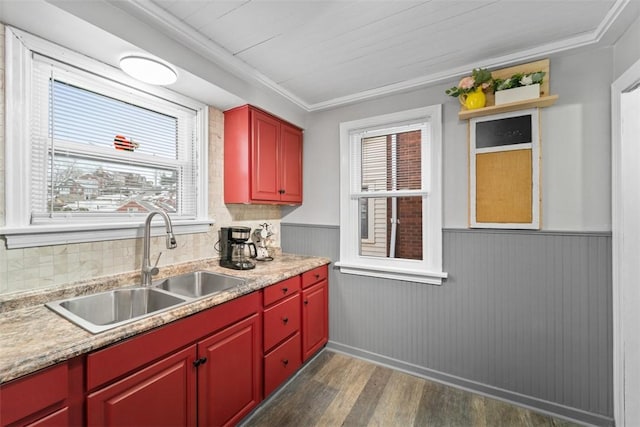 kitchen with a healthy amount of sunlight, sink, ornamental molding, and dark wood-type flooring